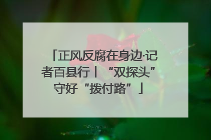 正风反腐在身边·记者百县行丨“双探头”守好“拨付路”