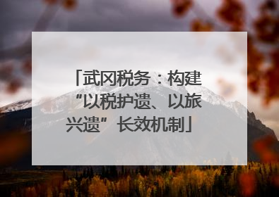 武冈税务：构建“以税护遗、以旅兴遗”长效机制
