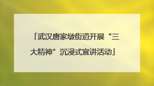 武汉唐家墩街道开展“三大精神”沉浸式宣讲活动
