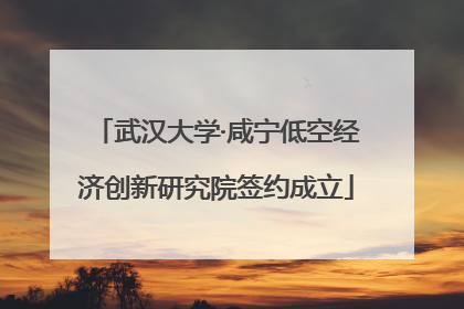 武汉大学·咸宁低空经济创新研究院签约成立