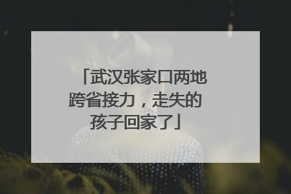 武汉张家口两地跨省接力，走失的孩子回家了