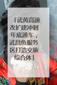 武黄高速改扩建冲刺年底通车，武昌鱼服务区打造交旅综合体