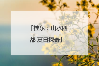 桂东：山水四都 夏日探奇