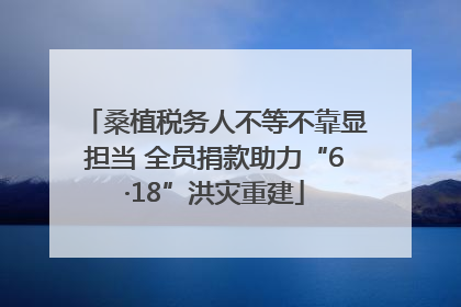 桑植税务人不等不靠显担当 全员捐款助力“6·18”洪灾重建