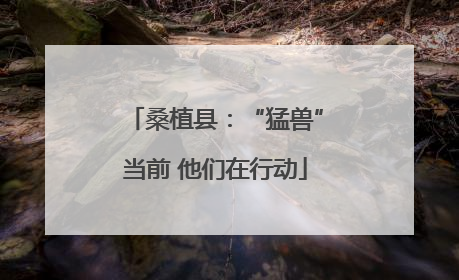 桑植县：“猛兽”当前 他们在行动