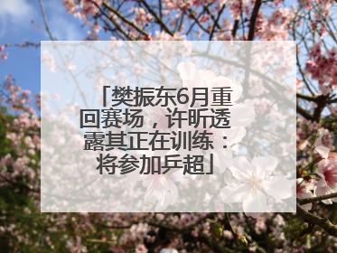 樊振东6月重回赛场，许昕透露其正在训练：将参加乒超