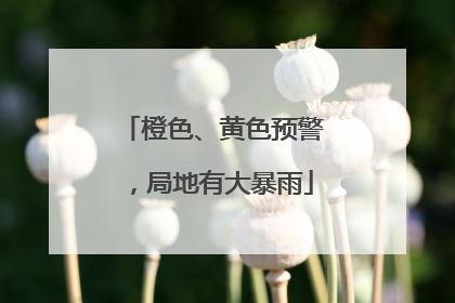 橙色、黄色预警，局地有大暴雨