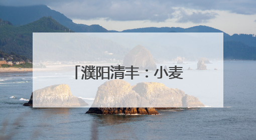 濮阳清丰：小麦丰收季 “一条龙”作业开启农业高效新篇章