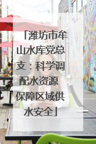 潍坊市牟山水库党总支：科学调配水资源 保障区域供水安全