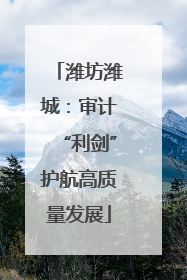潍坊潍城：审计“利剑”护航高质量发展