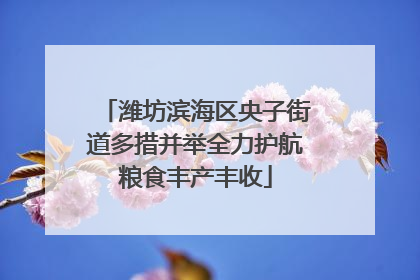 潍坊滨海区央子街道多措并举全力护航粮食丰产丰收