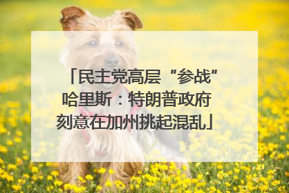 民主党高层“参战” 哈里斯：特朗普政府刻意在加州挑起混乱