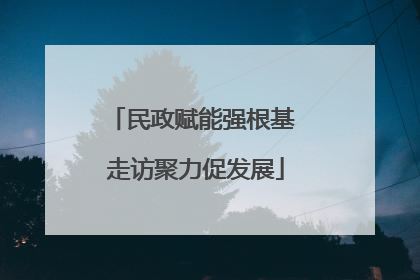 民政赋能强根基 走访聚力促发展