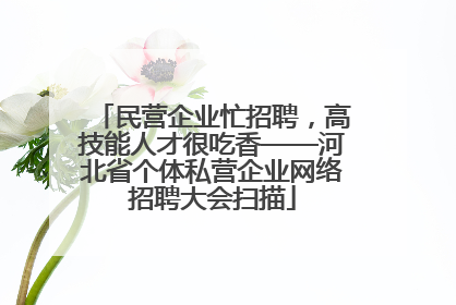 民营企业忙招聘，高技能人才很吃香——河北省个体私营企业网络招聘大会扫描