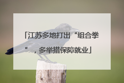 江苏多地打出“组合拳”，多举措保障就业
