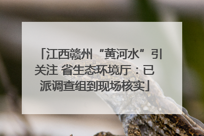 江西赣州“黄河水”引关注 省生态环境厅：已派调查组到现场核实