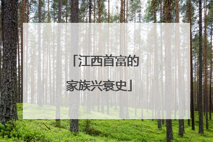 江西首富的家族兴衰史