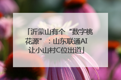 沂蒙山有个“数字桃花源”：山东联通AI让小山村C位出道