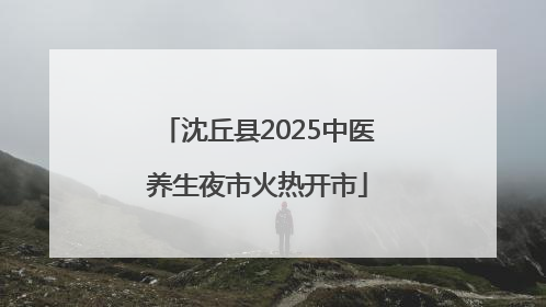 沈丘县2025中医养生夜市火热开市