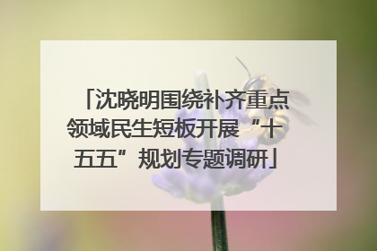 沈晓明围绕补齐重点领域民生短板开展“十五五”规划专题调研