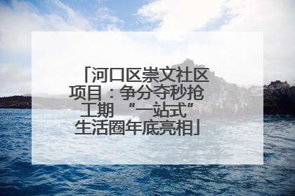 河口区崇文社区项目：争分夺秒抢工期 “一站式”生活圈年底亮相