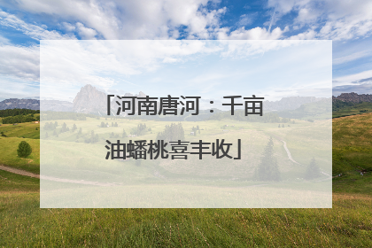 河南唐河：千亩油蟠桃喜丰收