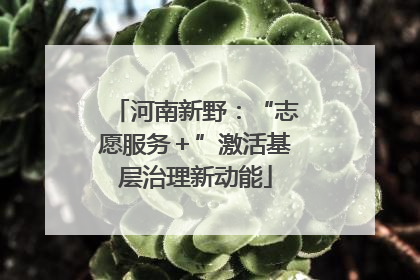 河南新野：“志愿服务＋”激活基层治理新动能