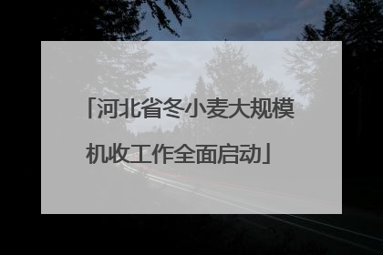 河北省冬小麦大规模机收工作全面启动