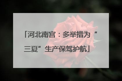 河北南宫：多举措为“三夏”生产保驾护航