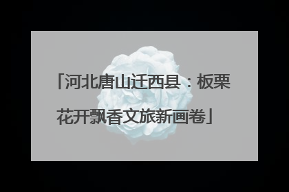 河北唐山迁西县：板栗花开飘香文旅新画卷