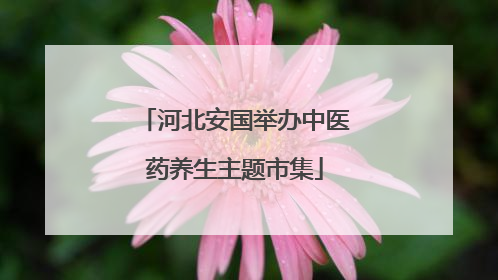河北安国举办中医药养生主题市集