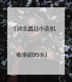 河北蠡县小麦机收率超95%