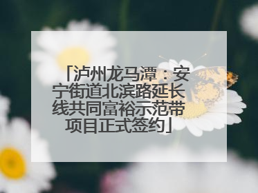 泸州龙马潭：安宁街道北滨路延长线共同富裕示范带项目正式签约