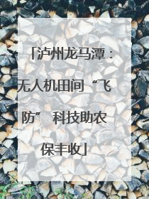 泸州龙马潭：无人机田间“飞防” 科技助农保丰收