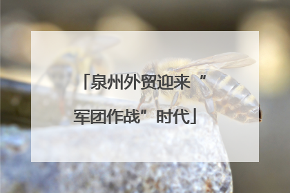 泉州外贸迎来“军团作战”时代