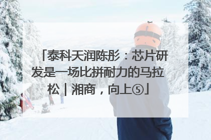 泰科天润陈彤：芯片研发是一场比拼耐力的马拉松｜湘商，向上⑤