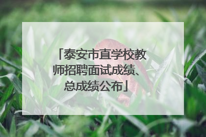 泰安市直学校教师招聘面试成绩、总成绩公布