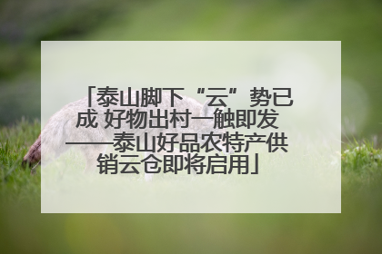 泰山脚下“云”势已成 好物出村一触即发——泰山好品农特产供销云仓即将启用