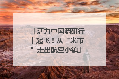 活力中国调研行丨起飞！从“米市”走出航空小镇
