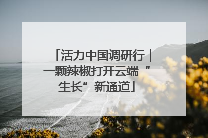 活力中国调研行｜一颗辣椒打开云端“生长”新通道