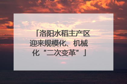 洛阳水稻主产区迎来规模化、机械化“二次变革”