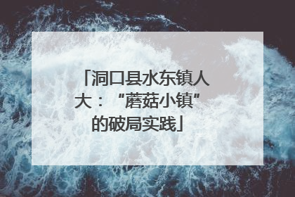 洞口县水东镇人大：“蘑菇小镇”的破局实践