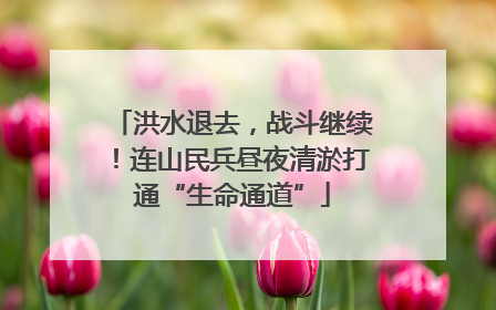 洪水退去，战斗继续！连山民兵昼夜清淤打通“生命通道”