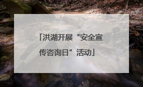 洪湖开展“安全宣传咨询日”活动