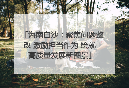 海南白沙：聚焦问题整改 激励担当作为 绘就高质量发展新图景