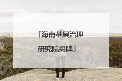 海南基层治理研究院揭牌