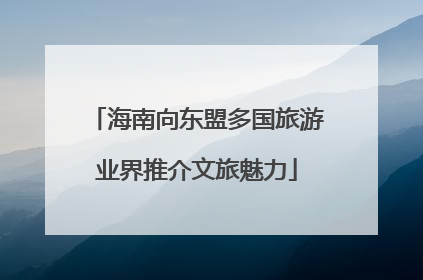 海南向东盟多国旅游业界推介文旅魅力