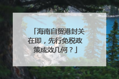 海南自贸港封关在即，先行免税政策成效几何？