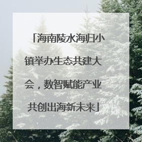 海南陵水海归小镇举办生态共建大会，数智赋能产业共创出海新未来
