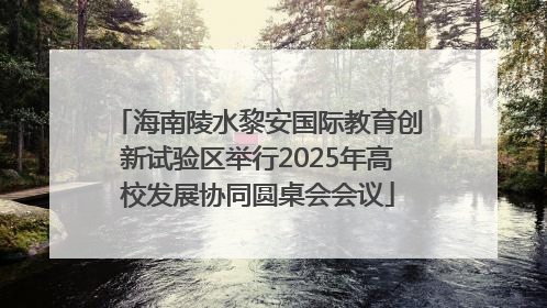 海南陵水黎安国际教育创新试验区举行2025年高校发展协同圆桌会会议
